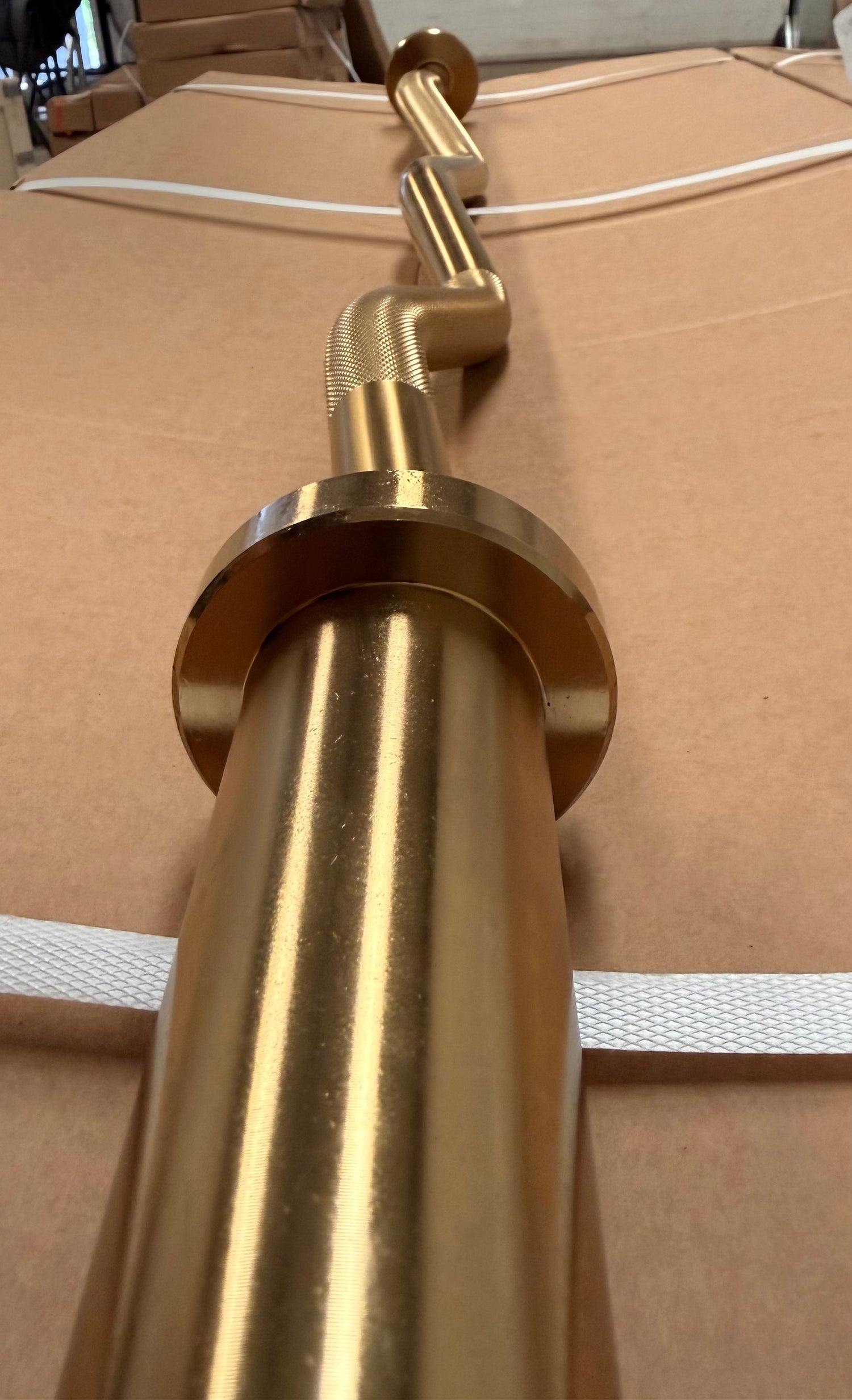 Olympic EZ Curl Bar Gold